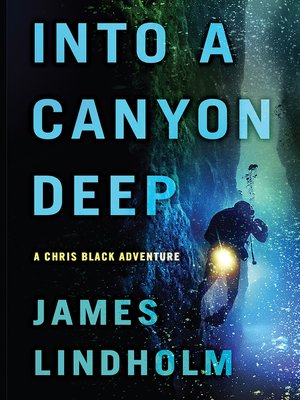 Into a Canyon Deep - ebook